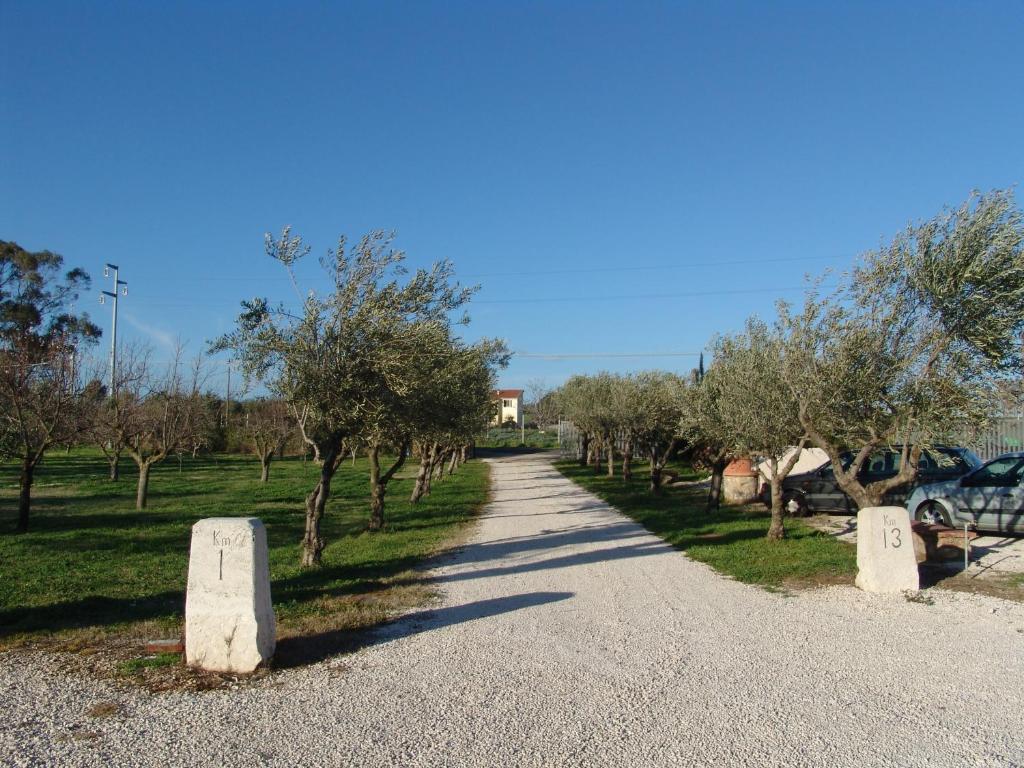 Podere 1248 Ladispoli Exteriér fotografie