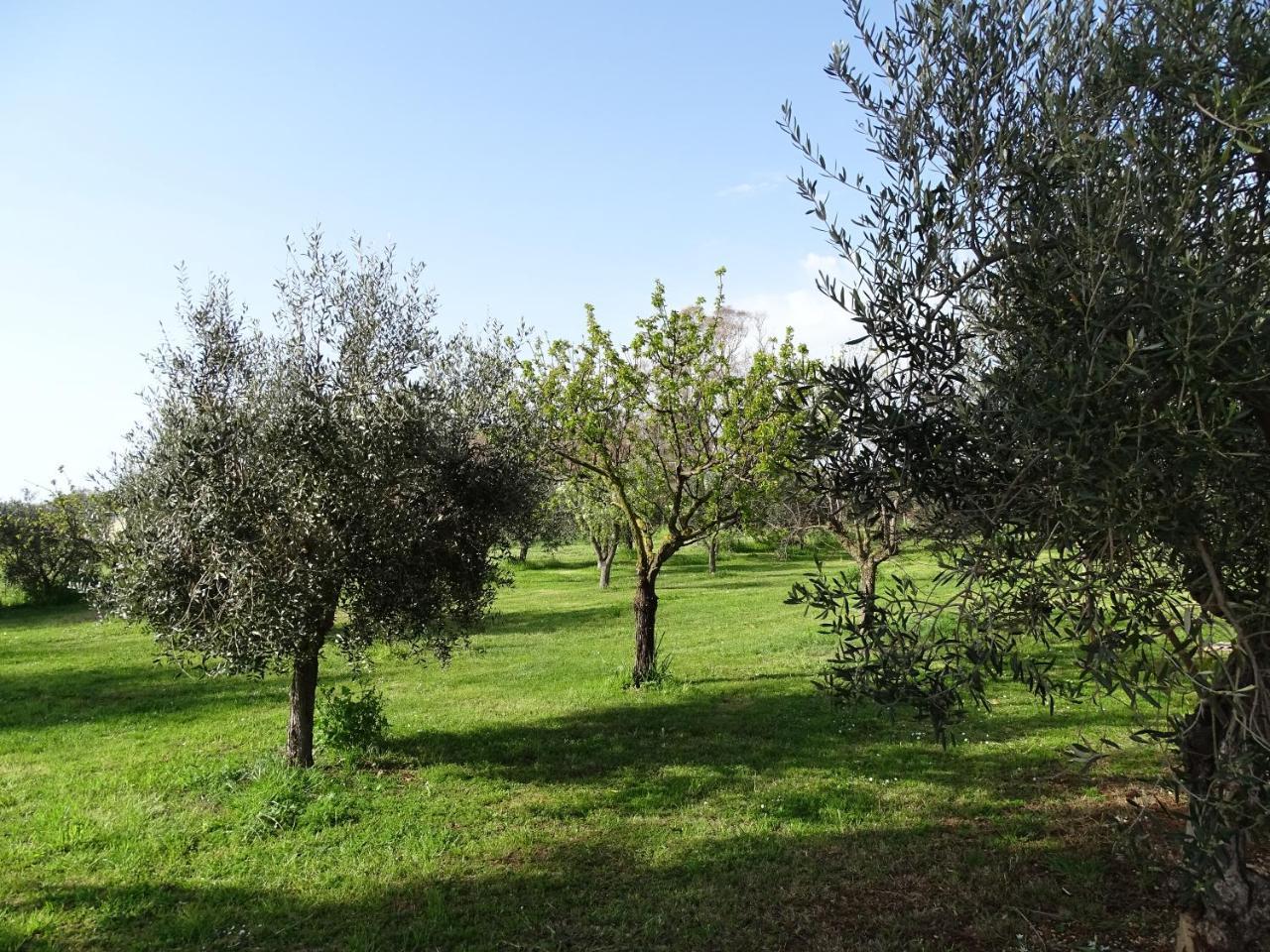 Podere 1248 Ladispoli Exteriér fotografie